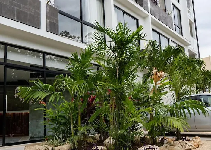 Bora Near & Town Free Club Tulum